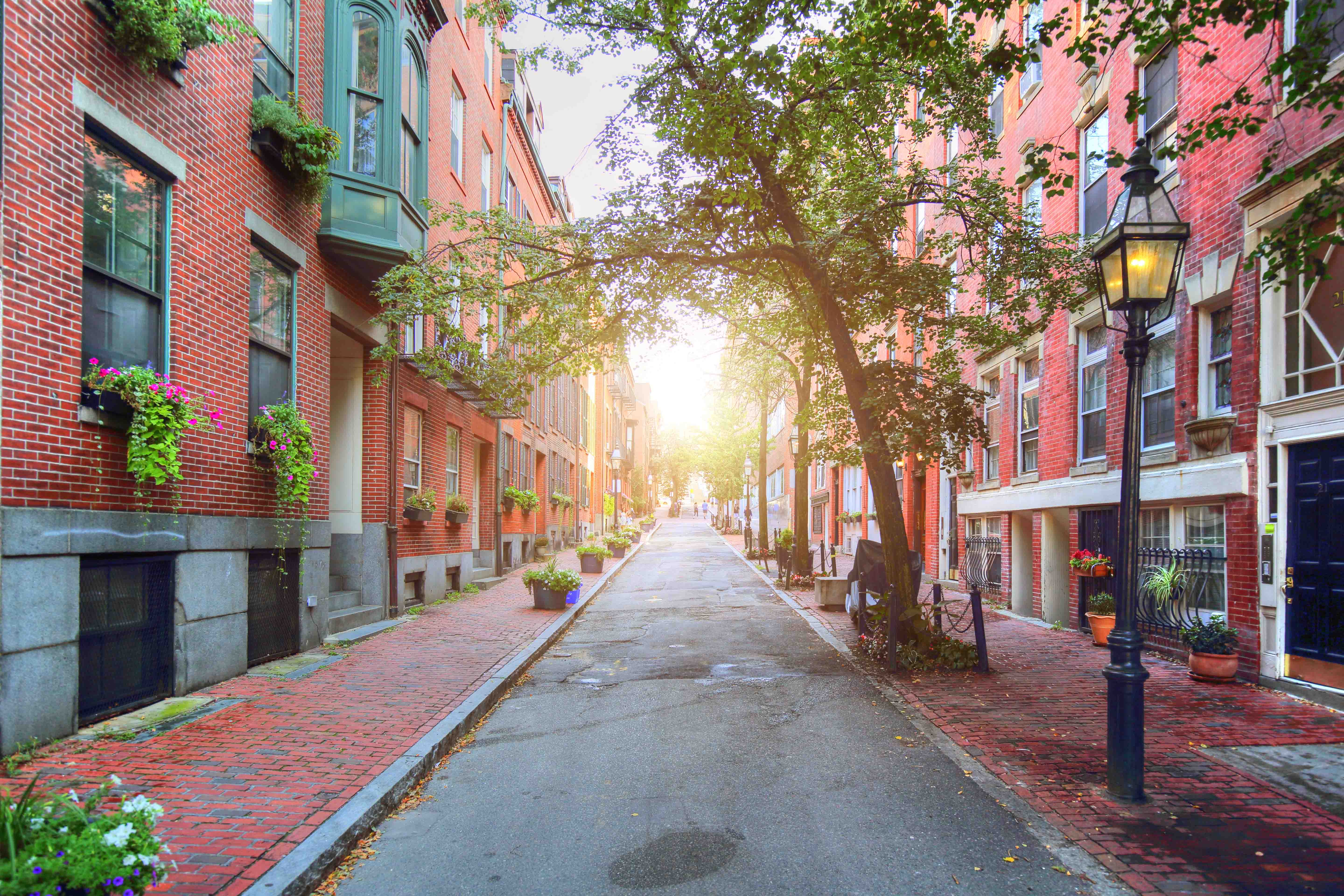 United States Hop-on Hop-off