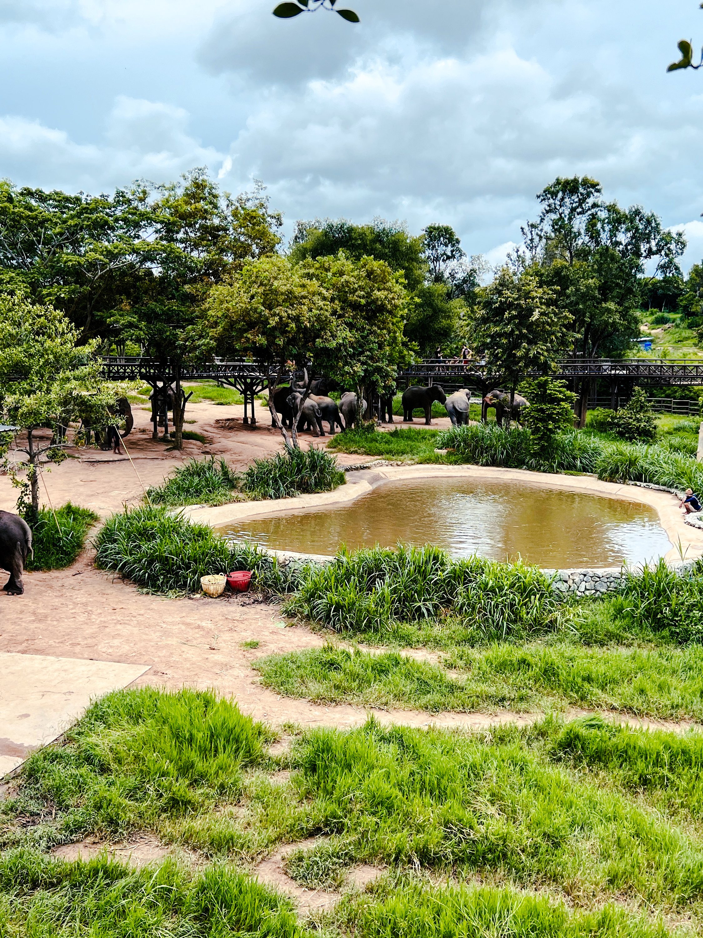 Elephant Sanctuary Koh Samui