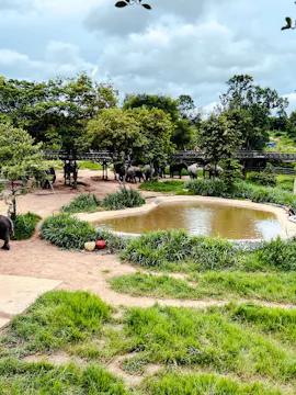 Elephant Sanctuary Koh Samui Tickets