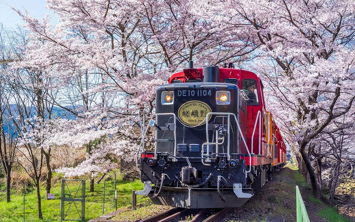 Sagano Romantic Train passing through cherry blossoms in Kyoto.