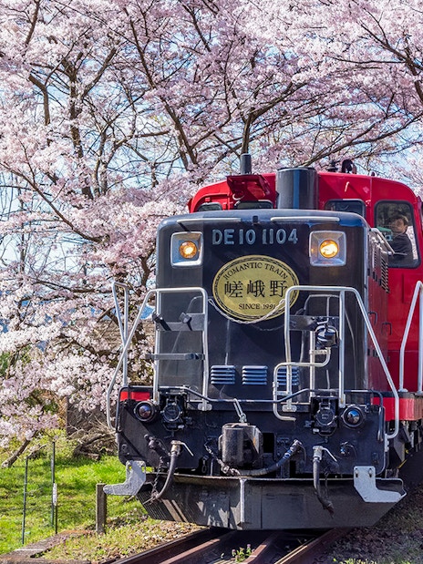 Sagano Romantic Train passing through cherry blossoms in Kyoto.