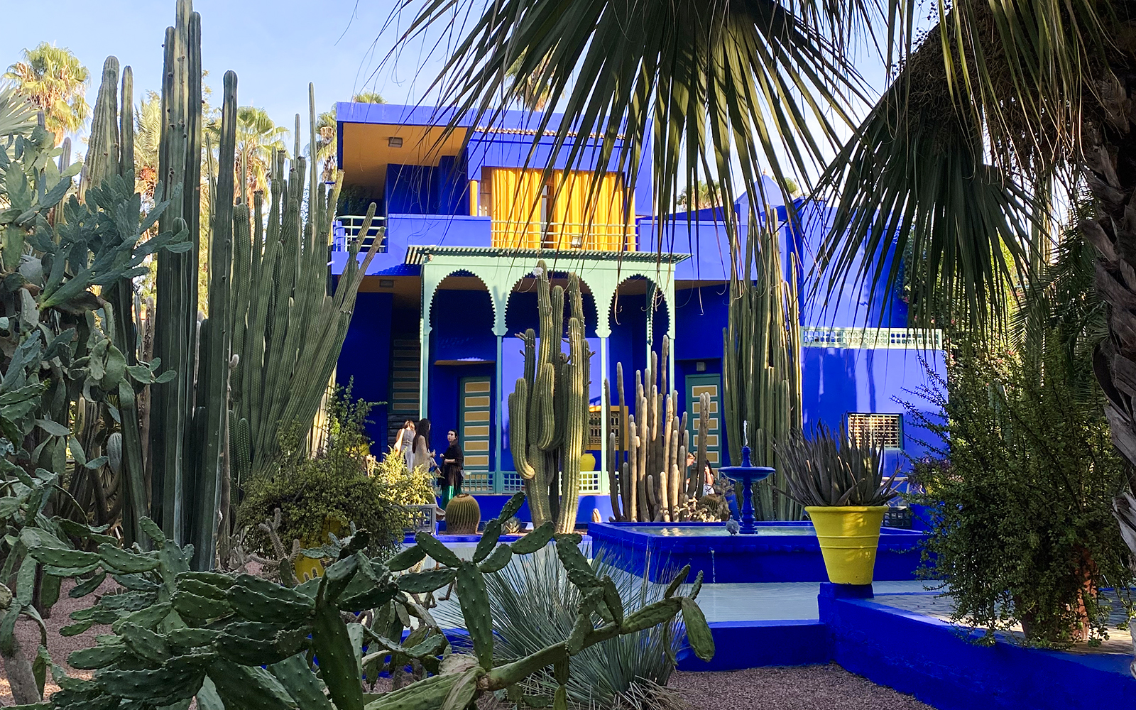 Jardin Majorelle's vibrant blue villa surrounded by tall cacti and lush greenery in Marrakech.