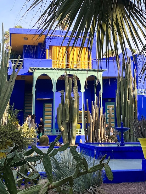 Jardin Majorelle's vibrant blue villa surrounded by tall cacti and lush greenery in Marrakech.