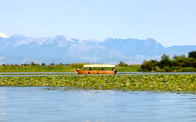 Wooden boat on Lake Skadar during guided sightseeing tour with mountain backdrop.