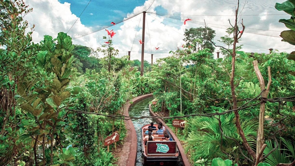 Safari World Bangkok tour