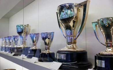 Santiago Bernabéu Stadium Private Guided Tour
