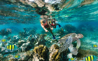Snorkelers exploring coral reef with fish and sea turtle in Marine National Park, Puerto Morelos.
