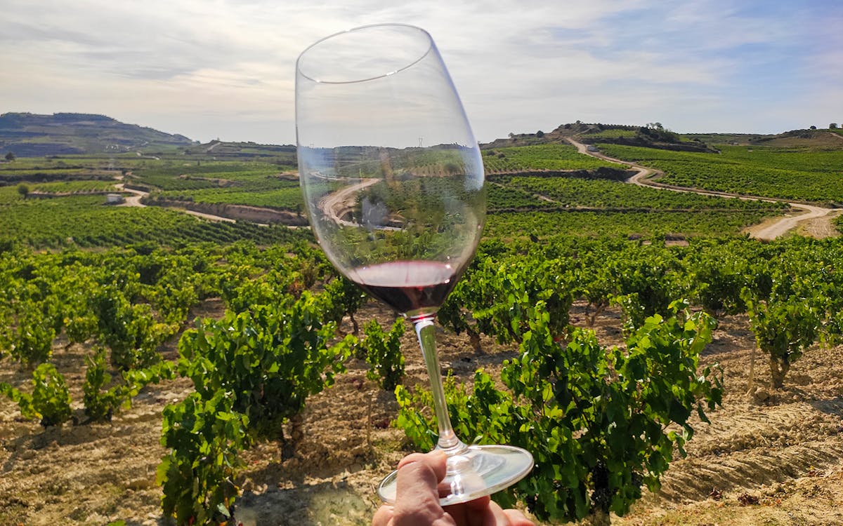 wine tour of 2 rioja wineries from bilbao-6 wine tour of 2 rioja wineries from bilbao-6