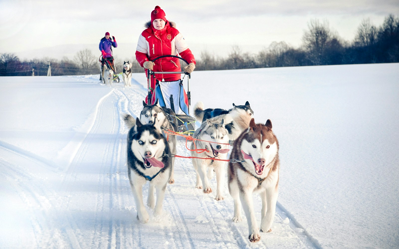 Husky sledding through snowy landscape in Rovaniemi.
