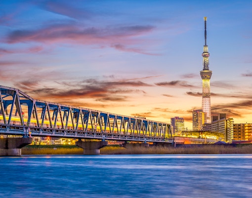 Tokyo SkyTree and Sumida River at sunset with a train crossing a bridge.
