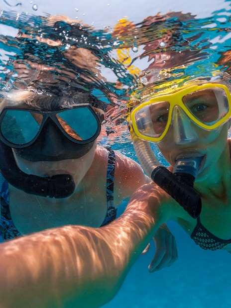 Snorkelers exploring clear tropical waters.