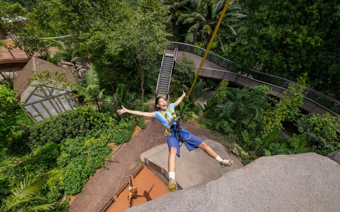 Person ziplining over lush greenery at Split Rock Summit, Rainforest Wild Adventure.
