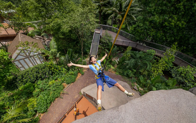 Person ziplining over lush greenery at Split Rock Summit, Rainforest Wild Adventure.