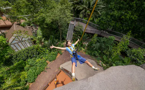 Person ziplining over lush greenery at Split Rock Summit, Rainforest Wild Adventure.