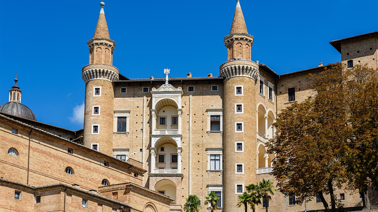 Ducal Palace - Why visit Urbino Ducal?