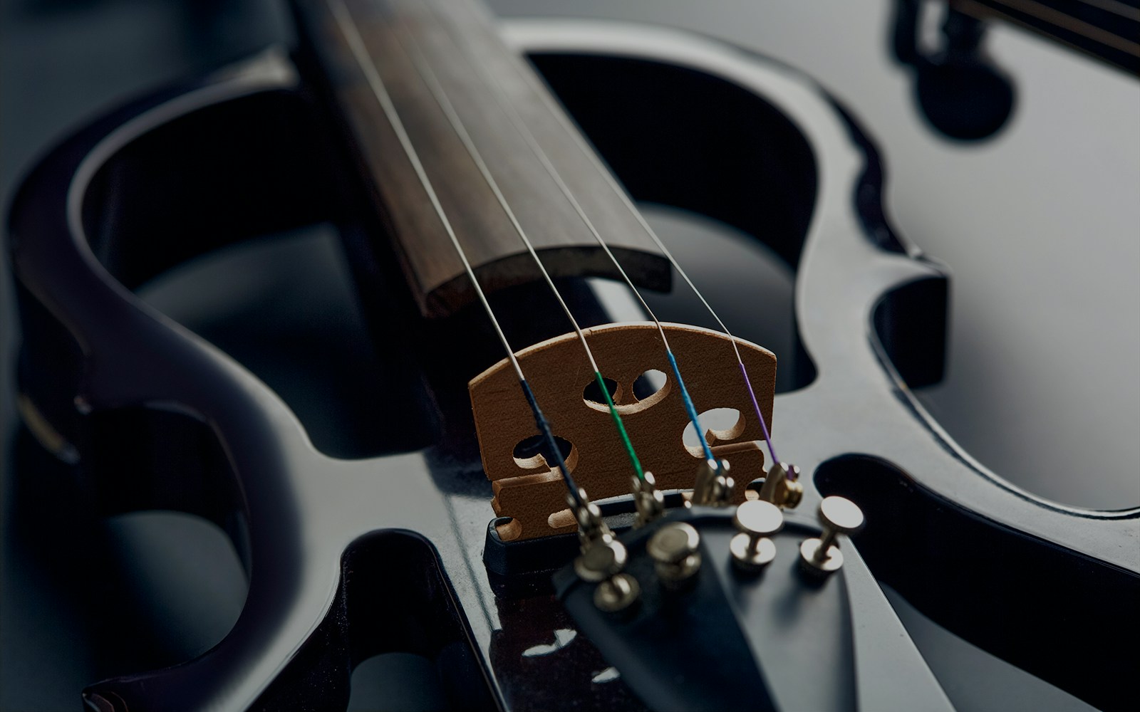 Modern electric violin close-up with strings and bridge.