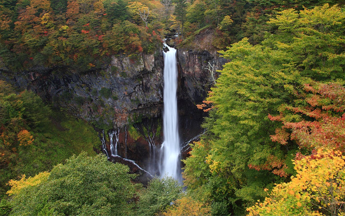 nikko toshogu shrine and kegon waterfall tour from tokyo-5 nikko toshogu shrine and kegon waterfall tour from tokyo-5