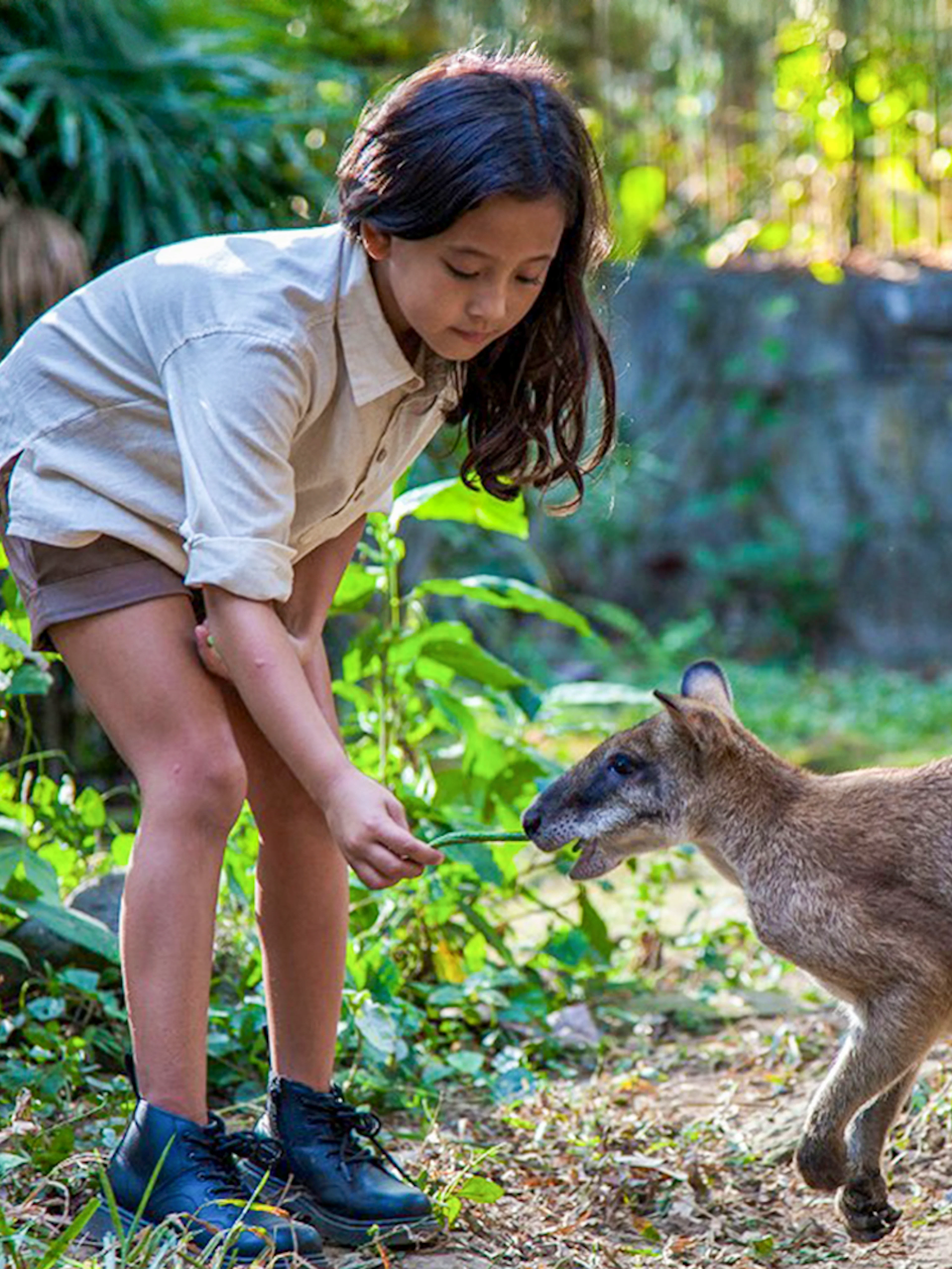 Girl feeding a kangaroo in a lush, green setting.