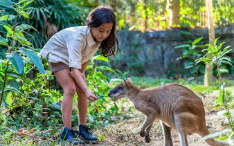 Girl feeding a kangaroo in a lush, green setting.