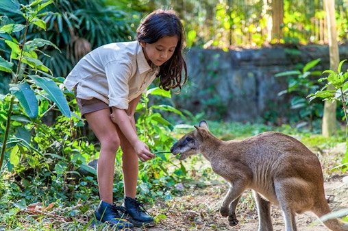 Bali Zoo Entry Tickets