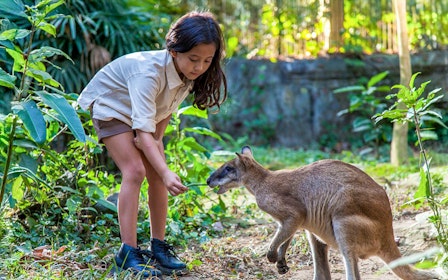 Bali Zoo Entry Tickets