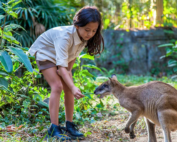 Bali Zoo Entry Tickets