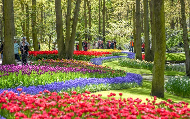 Keukenhof gardens with colorful tulip beds and visitors walking among trees.
