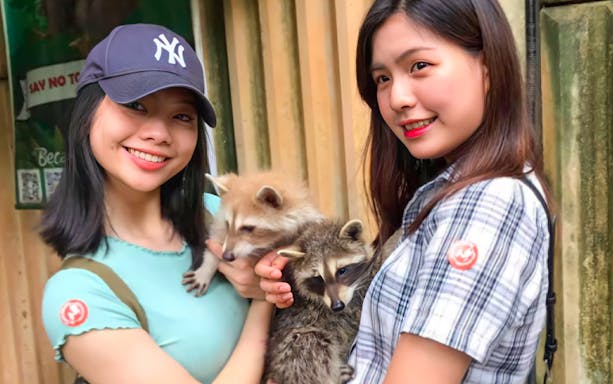 Visitors holding raccoons at KL Tower Mini Zoo, Kuala Lumpur.