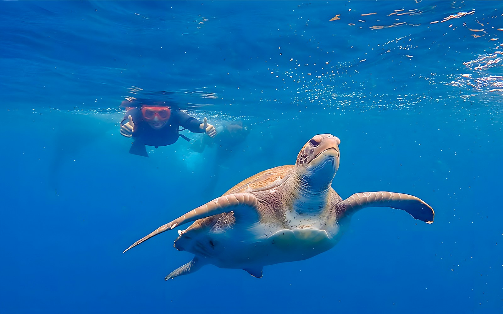Tourist snorkeling with a sea turtle in Tenerife waters.