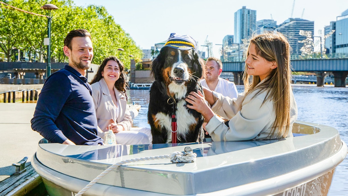 Group with a dog on a self-drive picnic cruise on Yarra River, Melbourne.