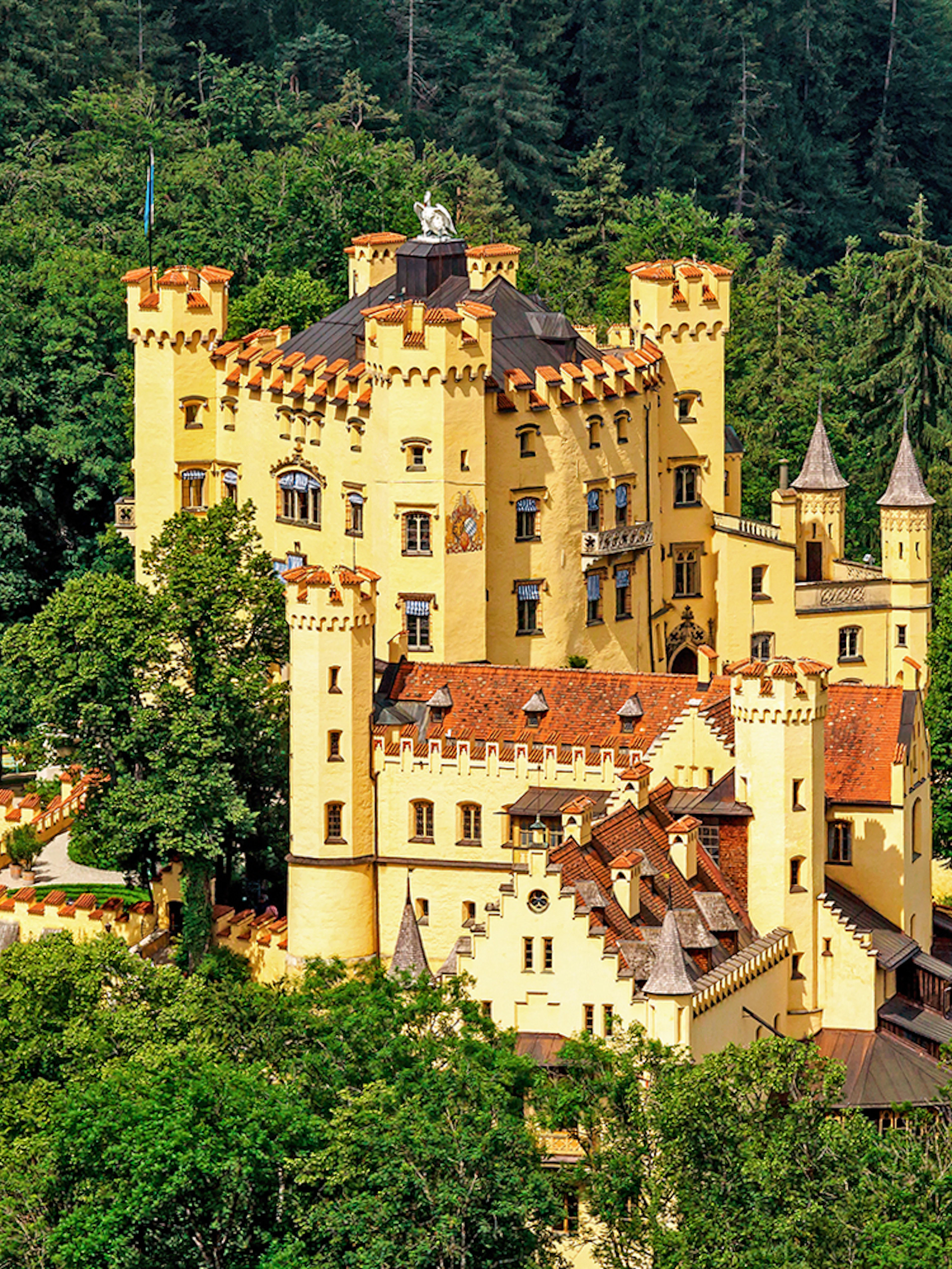 Hohenschwangau Castle surrounded by lush forest, Bavaria, Germany.