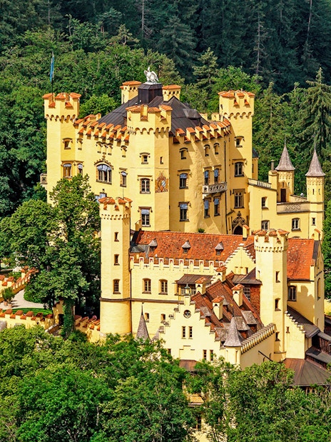 Hohenschwangau Castle surrounded by lush forest, Bavaria, Germany.