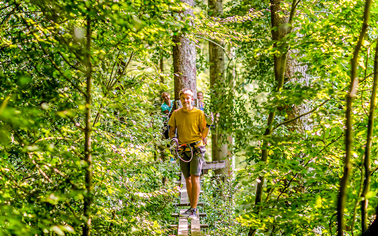 Person navigating a treetop course at Ropes Park Interlaken.