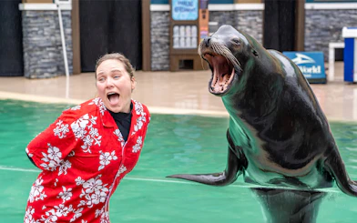 Trainer interacting with a sea lion at SeaWorld San Diego.