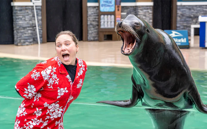 Trainer interacting with a sea lion at SeaWorld San Diego.