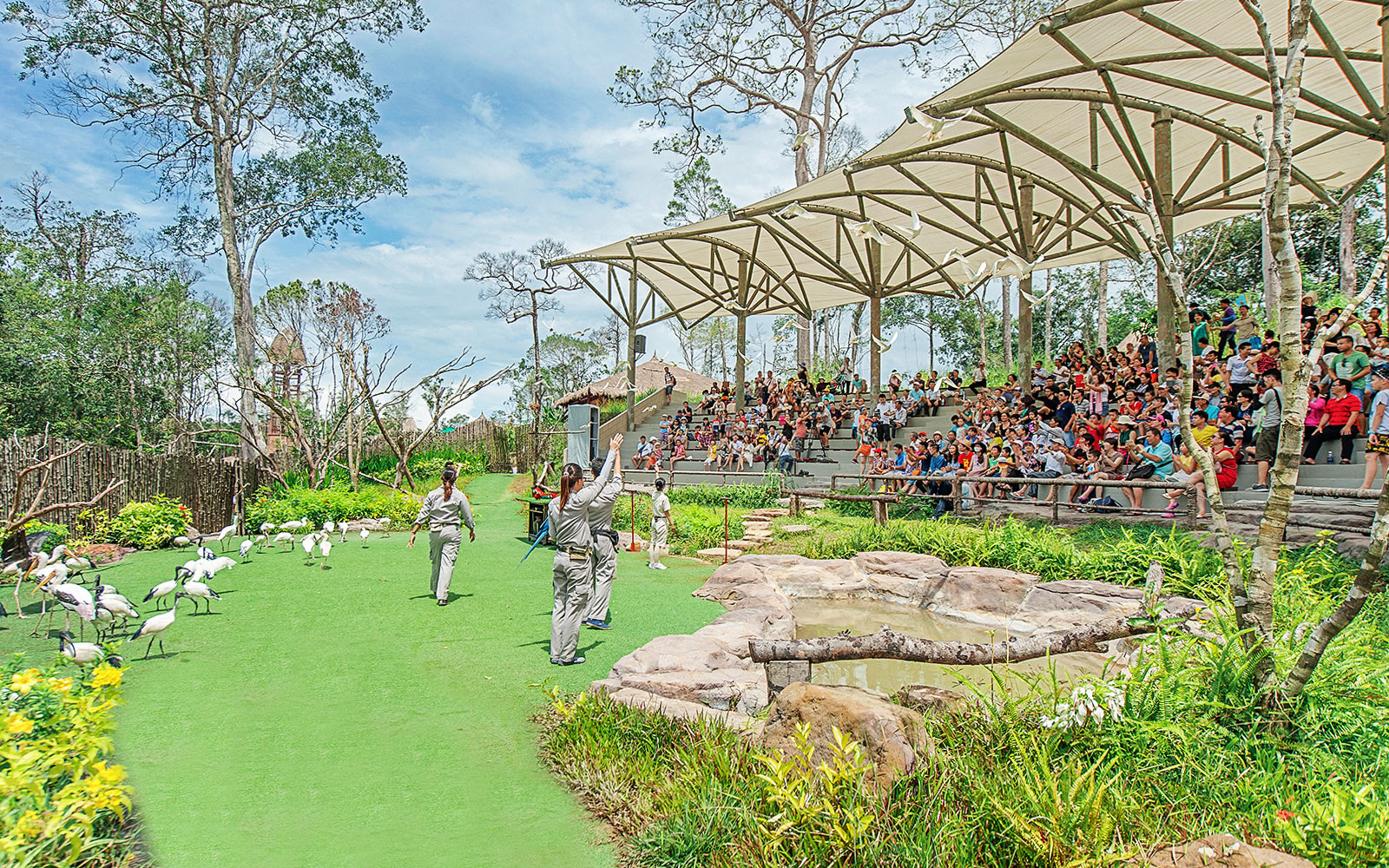 Bird show at Vinpearl with trainers and audience in outdoor amphitheater.