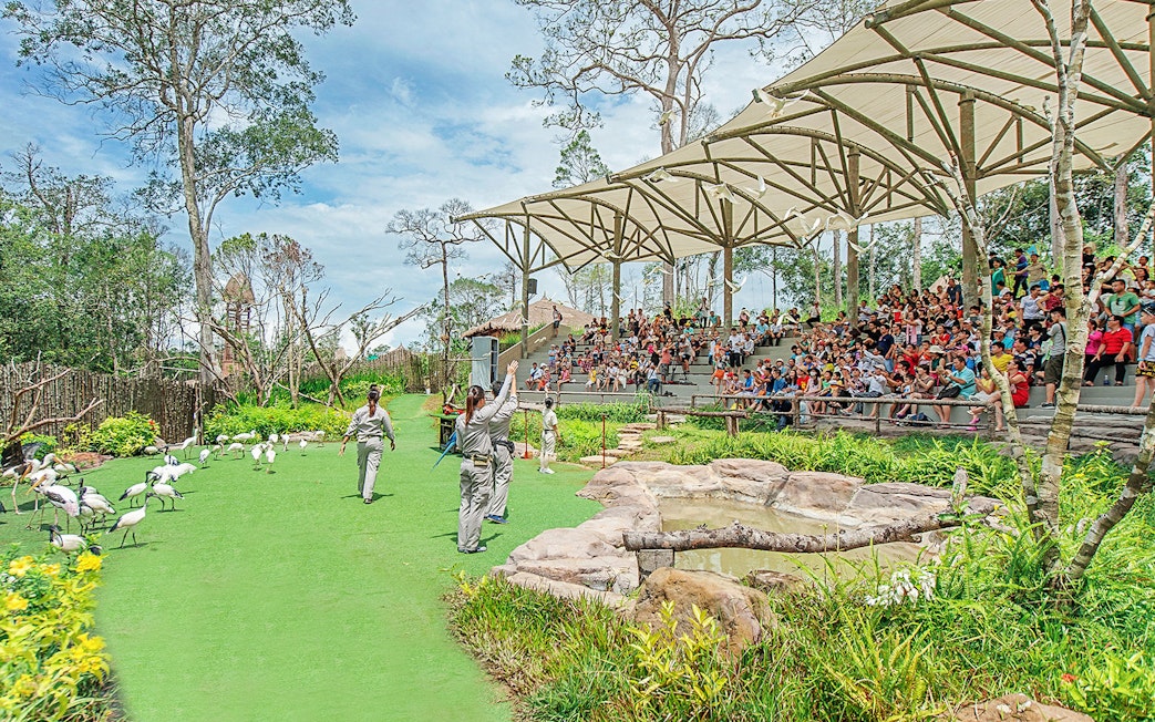 Bird show at Vinpearl with trainers and audience in outdoor amphitheater.