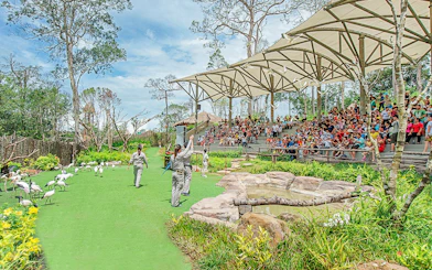 Bird show at Vinpearl with trainers and audience in outdoor amphitheater.