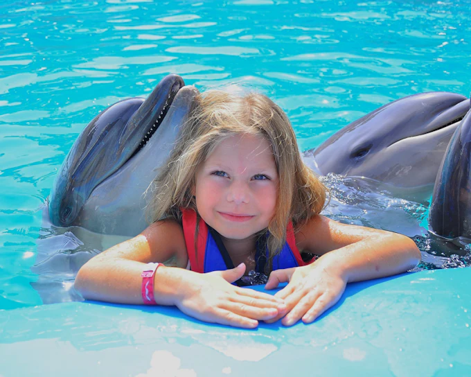 Hurghada Dolphin World Show & Meet-the-Dolphin Photo Experience with Transfers