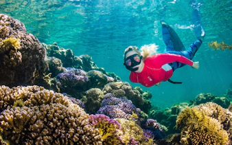 Snorkeler exploring coral reef at Rottnest Island.