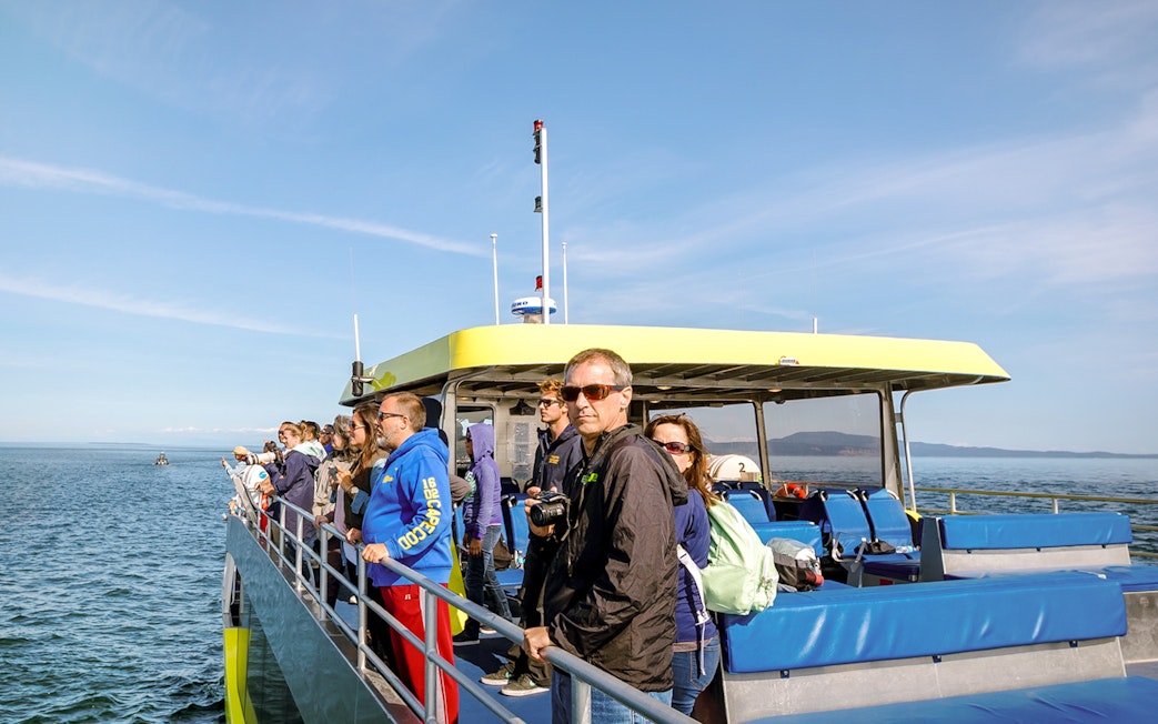 Group on a boat during a whale watching tour in open sea.