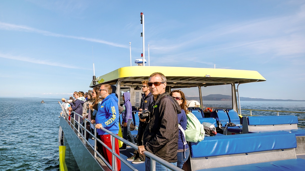Whale watching tour group observing orcas in Vancouver waters.