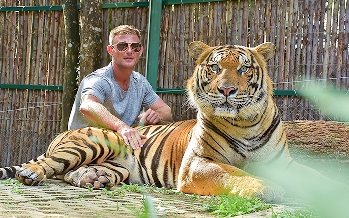 Man pets a tiger lying on grass at Tiger Kingdom experience.