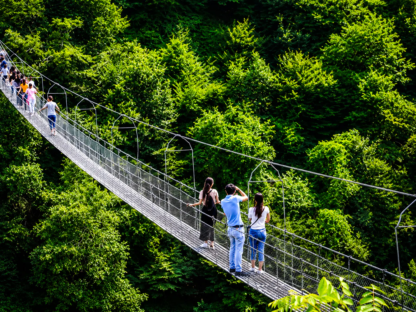 Visitors crossing a suspension bridge in lush forest on Sheki, Khan's Palace & Kish Village tour from Baku.