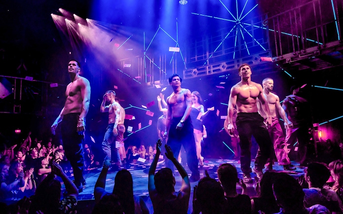 Performers on stage during Magic Mike Live show with audience in foreground.