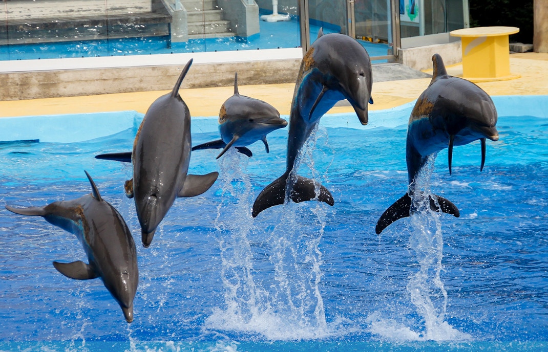 Ocean Park Hong Kong