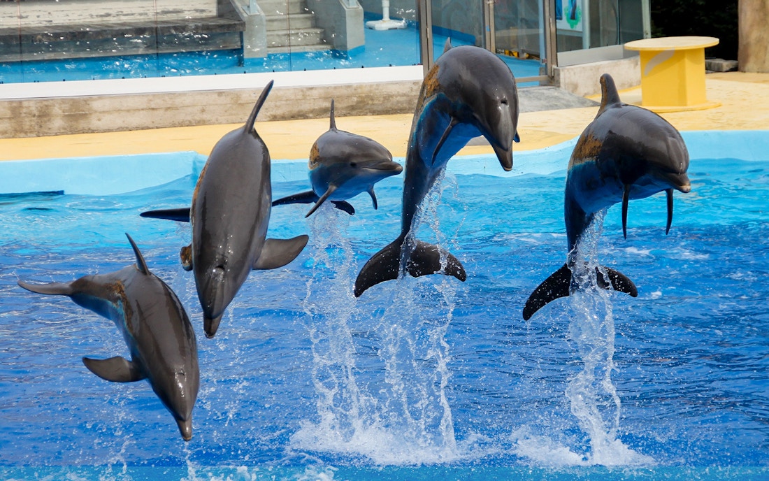 Ocean Park Hong Kong