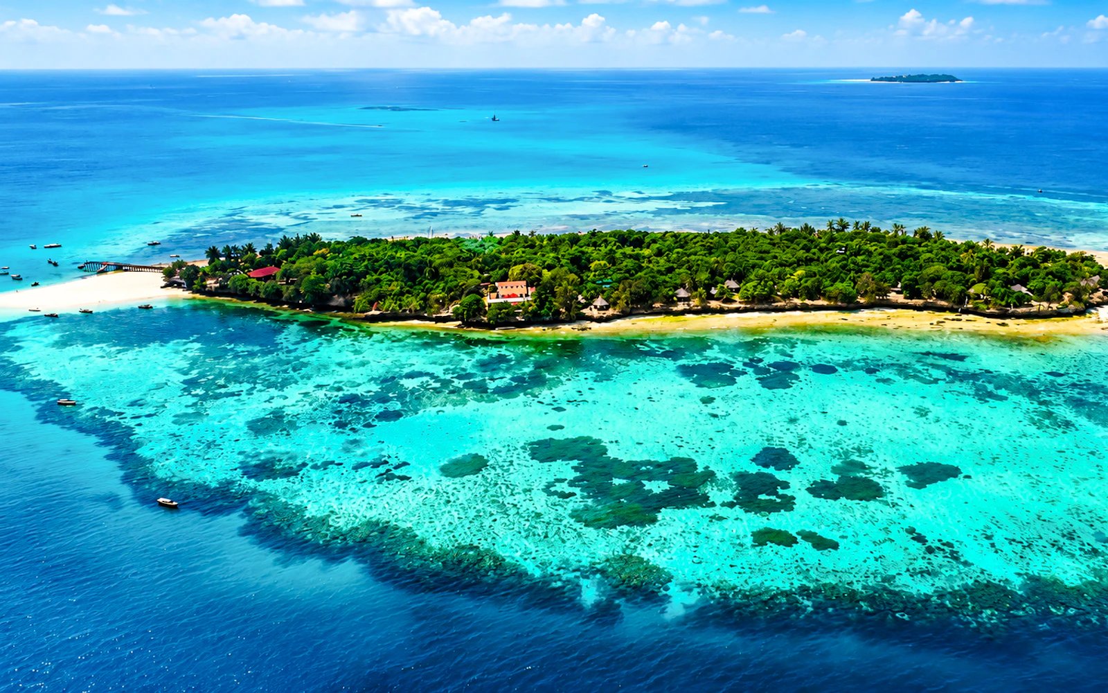 From Zanzibar: Stone Town, Spice Tour and Prison Island Day Trip with Hotel Pickup and Drop-Off Image 11