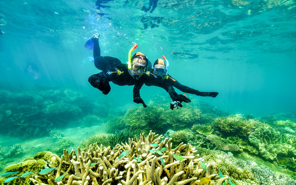 Snorkelers exploring coral reefs at Fitzroy & Green Islands.