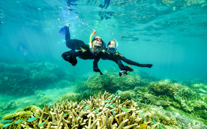 Snorkelers exploring coral reefs at Fitzroy & Green Islands.